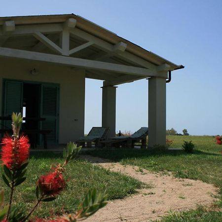 Agriturismo Podere 678 Grosseto Dış mekan fotoğraf