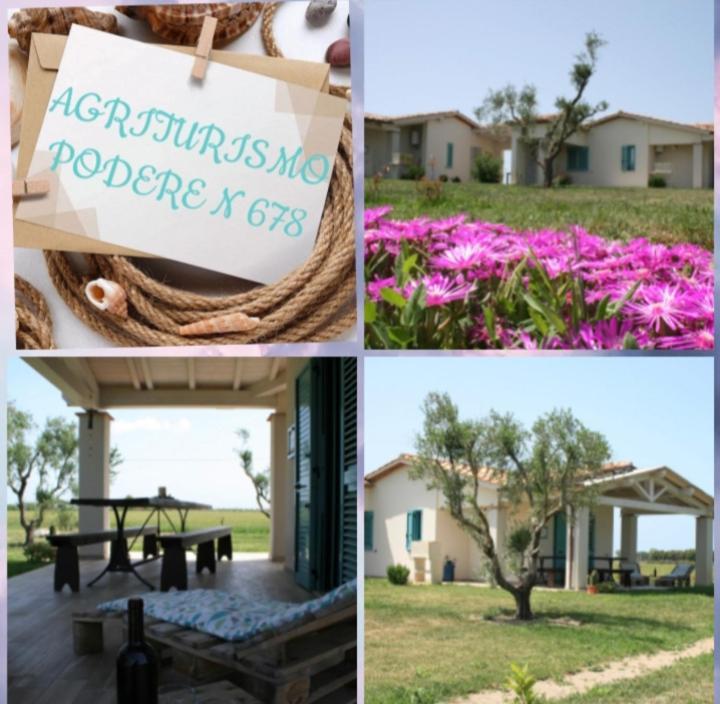 Agriturismo Podere 678 Grosseto Dış mekan fotoğraf