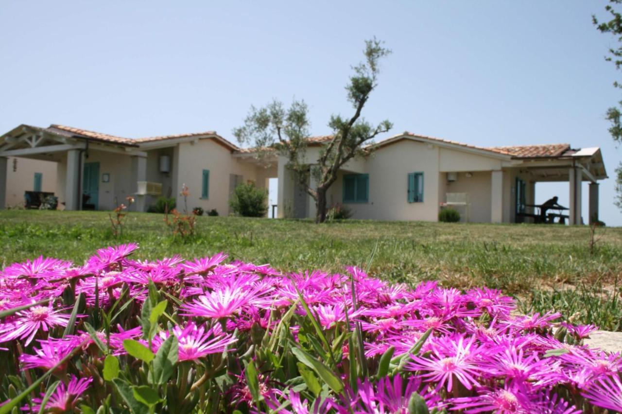 Agriturismo Podere 678 Grosseto Dış mekan fotoğraf