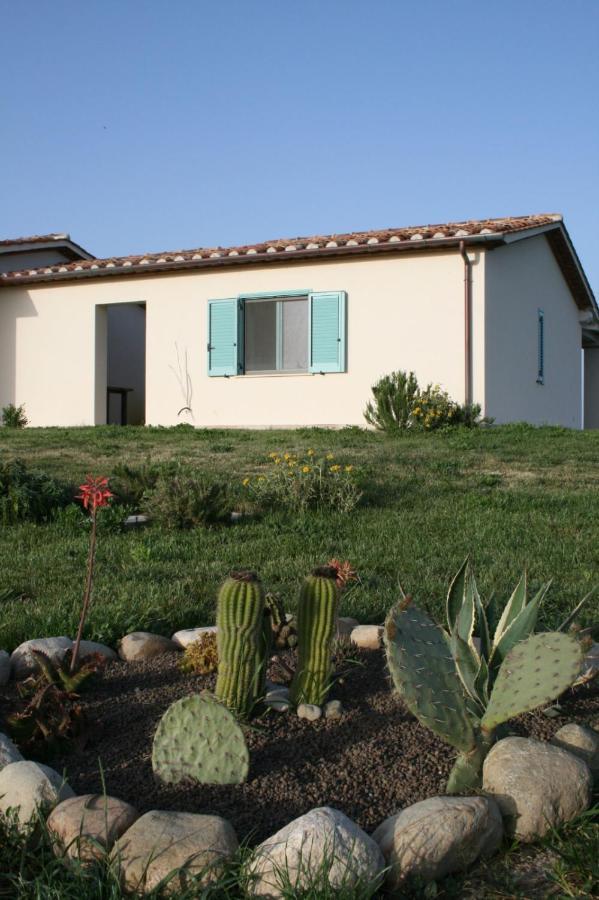 Agriturismo Podere 678 Grosseto Dış mekan fotoğraf